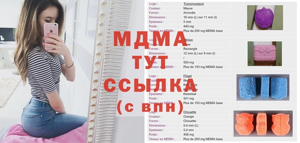 тгк Бородино