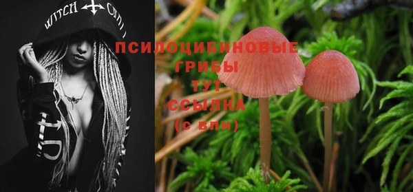 2c-b Бугульма
